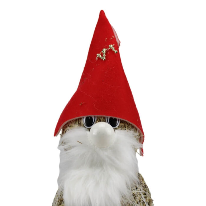 Božični škrat - slika 3