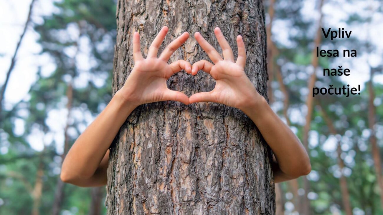 vpliv lesa na naše počutje