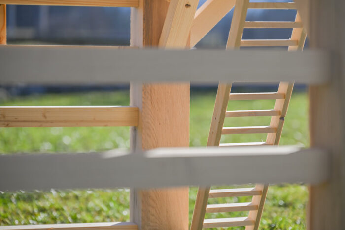 Veliki kozolec toplar - slika 4